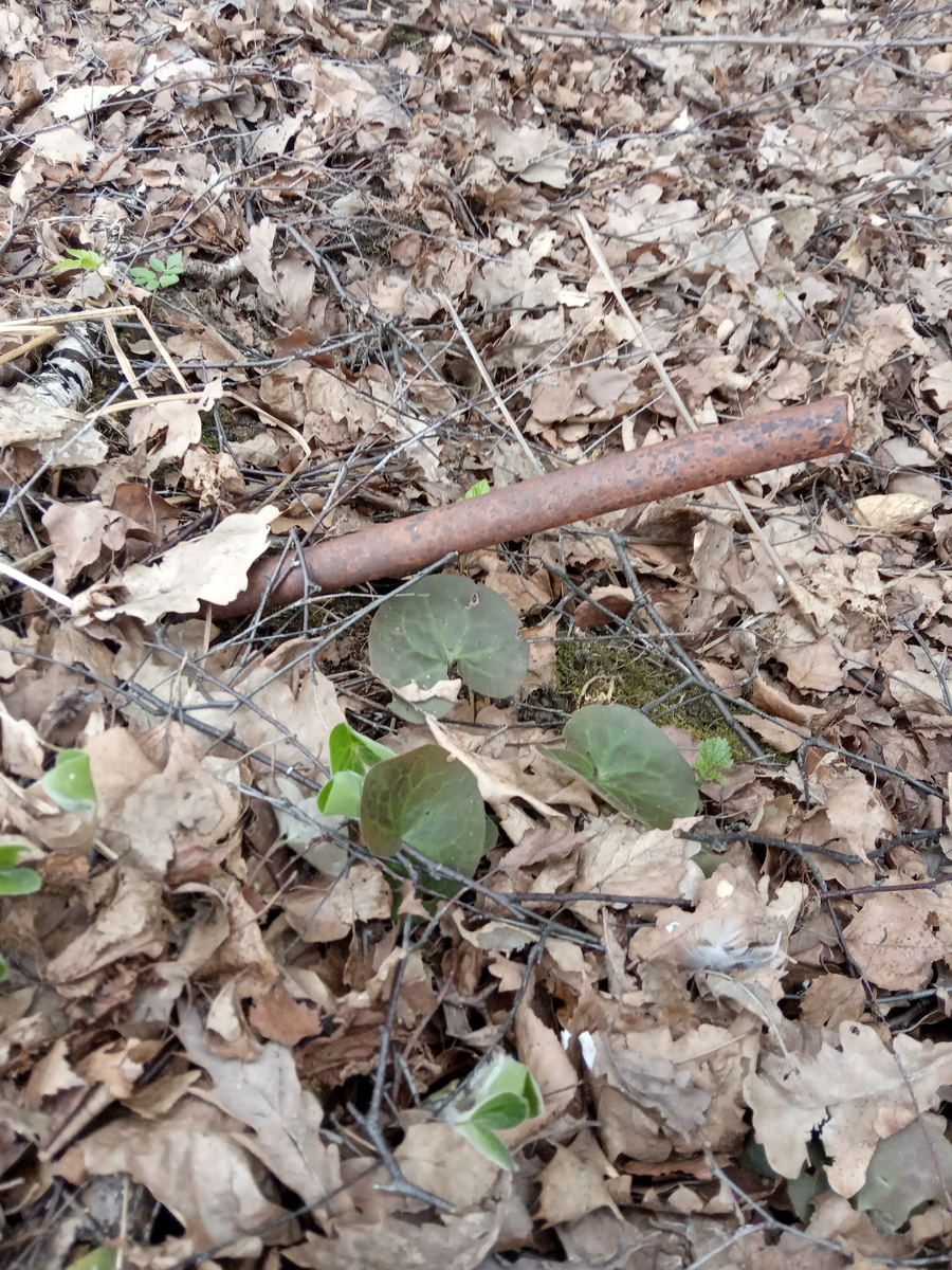 Глазами нашел.