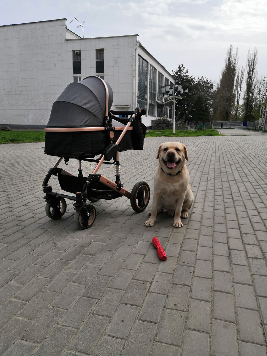 Гуляем всей нашей немногочисленной семьёй 😊