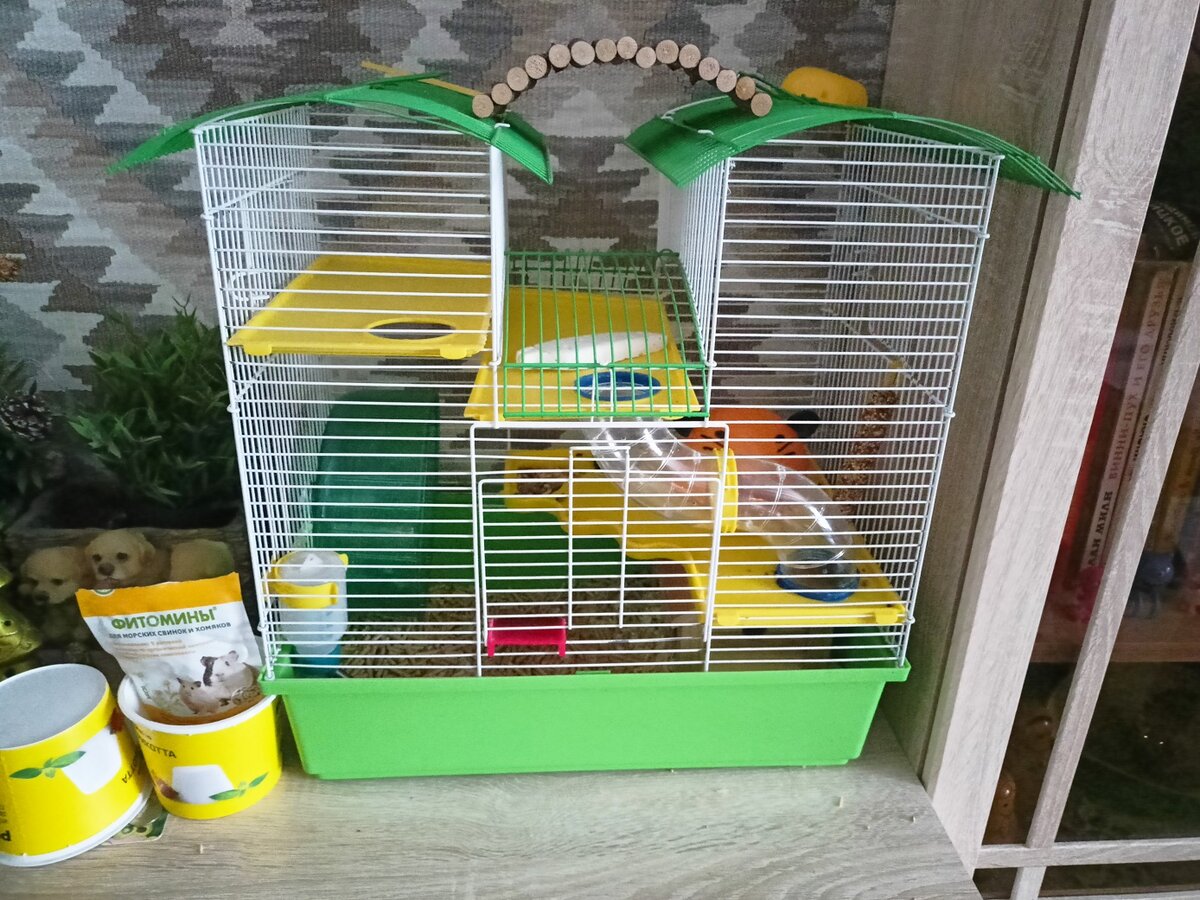 Хомячьи апартаменты 