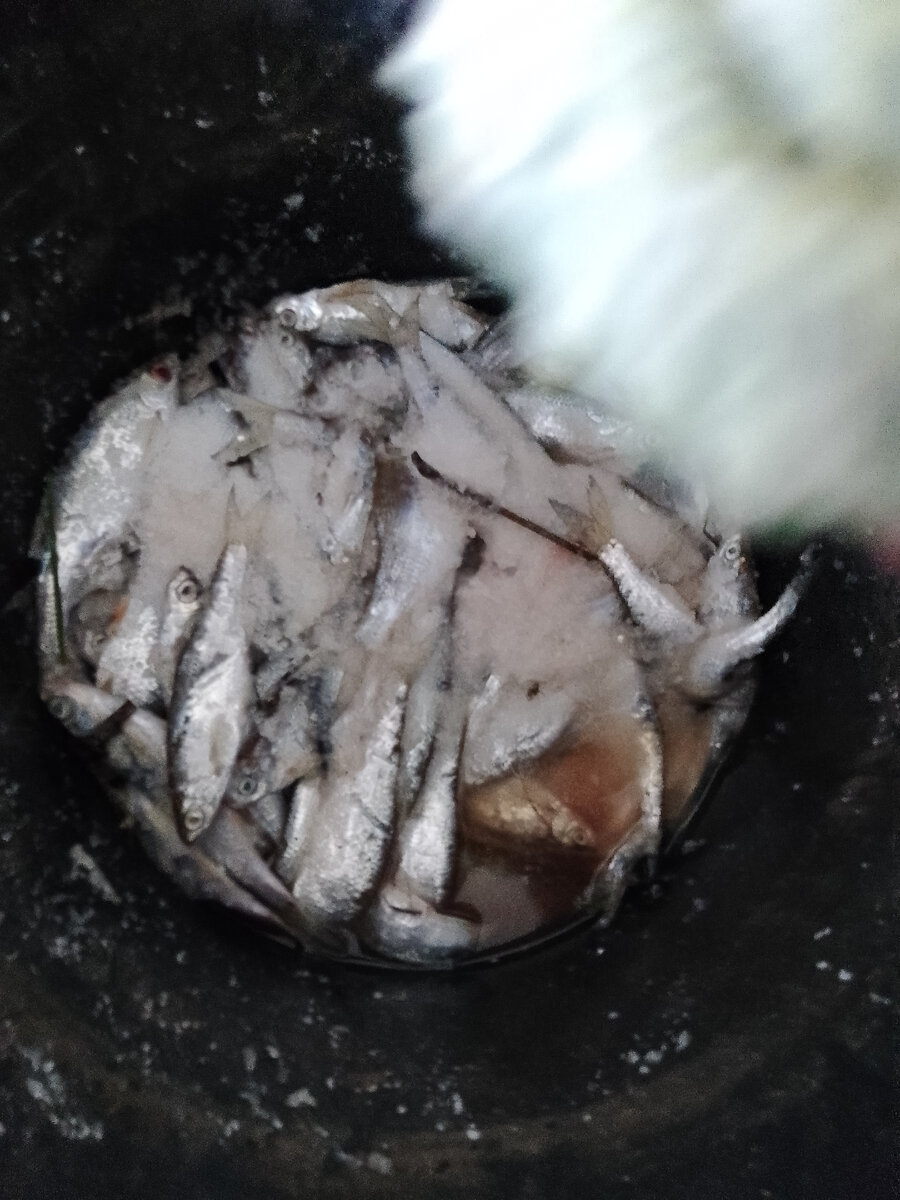 Рыбалка была давно даже раньше создания канала