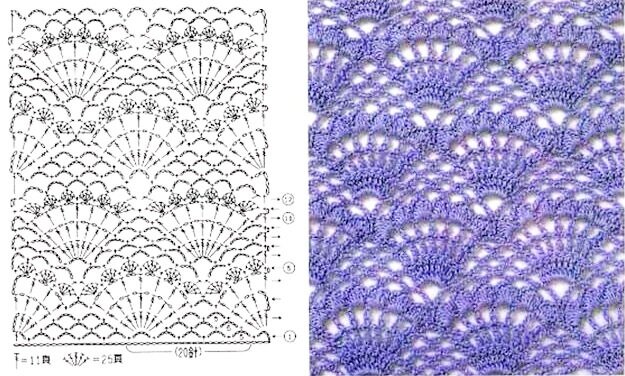 Узоры крючком веерочки и ракушки схемы
