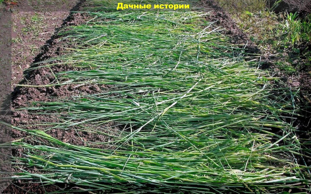 https://vk.com/photo-159774511_457261757