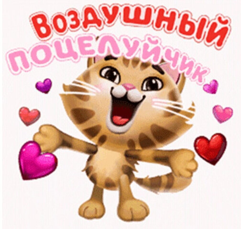 Фото из открытого источника