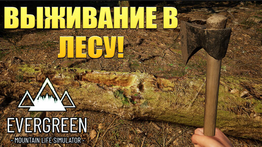 ВЫЖИВАНИЕ В ЛЕСУ! Evergreen - Mountain Life Simulator - ОБЗОР/ПРОХОЖДЕНИЕ!🔥