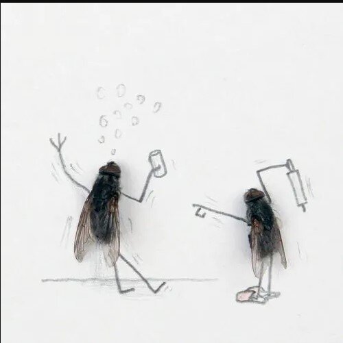 ИСТОЧНИК: https://lordsofthedrinks.org/2015/05/19/joke-the-fly-in-the-beer/