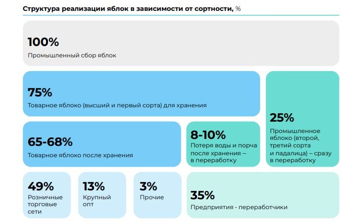 Представляем итоги аналитического отчета, в рамках которого была проанализирована динамика показателей сбора, потребления и импорта свежих яблок с 2017 по 2022 год, а также представлен прогноз...-4