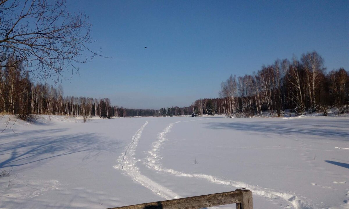 Из личного архива Лисинский пруд зимой