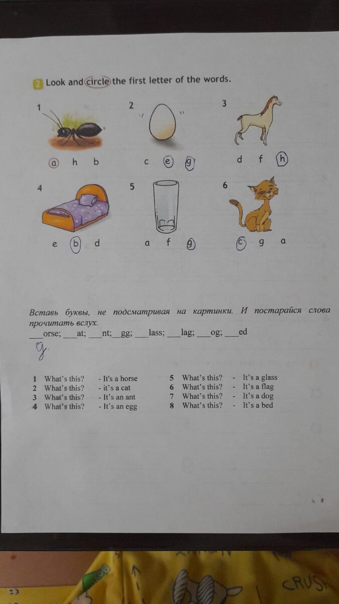 Английский во втором классе: ад для родителей и детей | Я - МАЧЕХА | Дзен