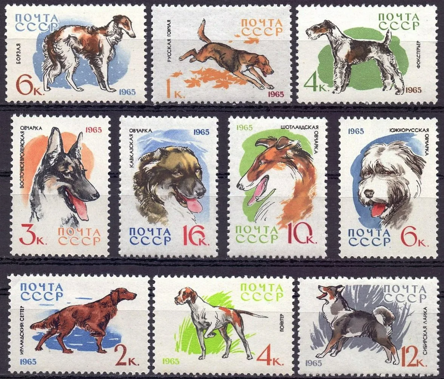 У нас сохранились марки с собаками. В основном были крупные рабочие породы.