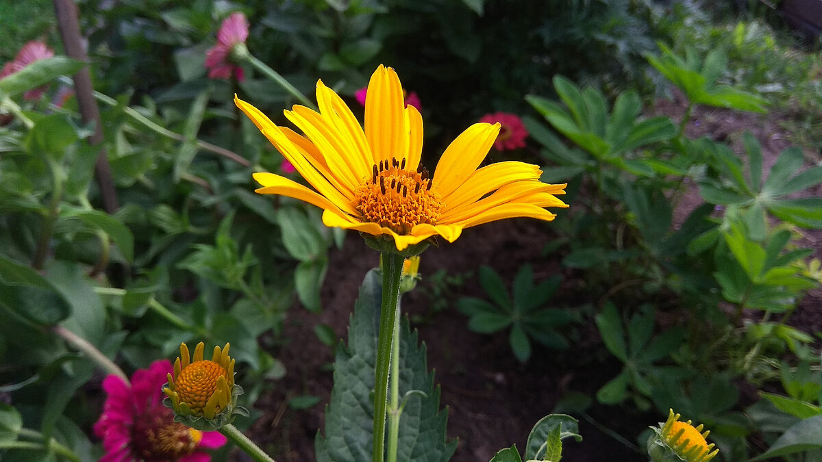 Фото автора статьи