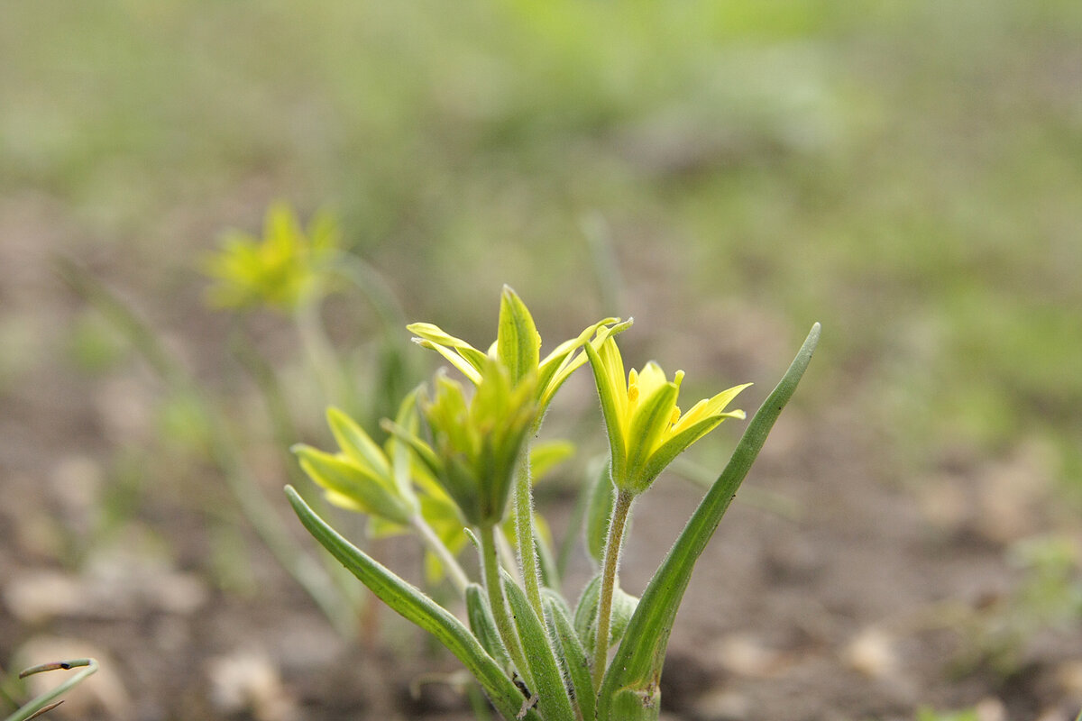 Снято в Краснодаре