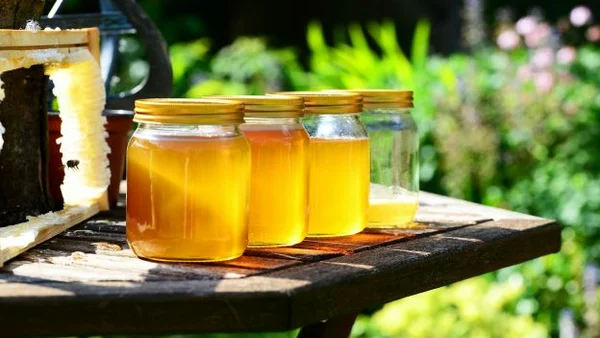 Мёд или нет: 4 вида подделки, которые должен знать каждый