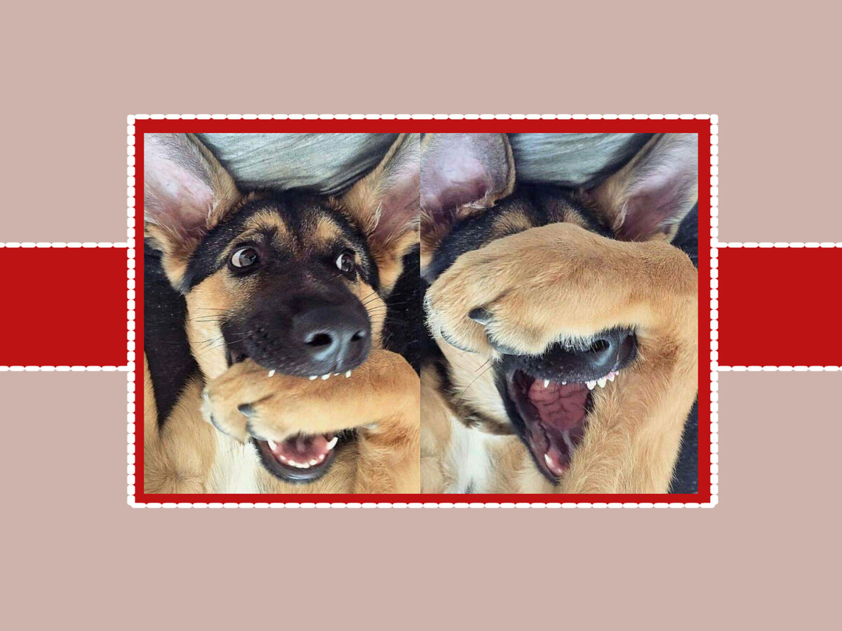 Платим огромную ипотеку, но не унываем =)