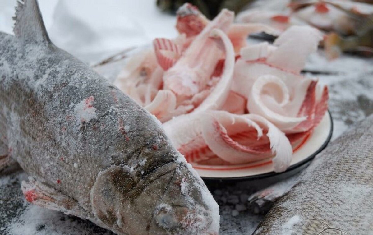 Северная кухня. Строганина из рыбы. | Хаски и другие дети Севера | Дзен