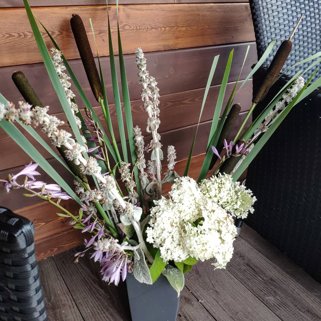 Гортензия , хосты, камыш, зайчьи ушки