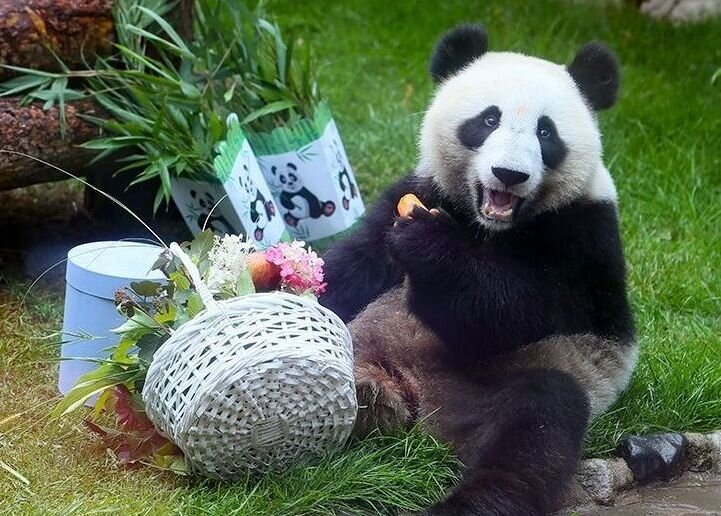 C днём рождения!