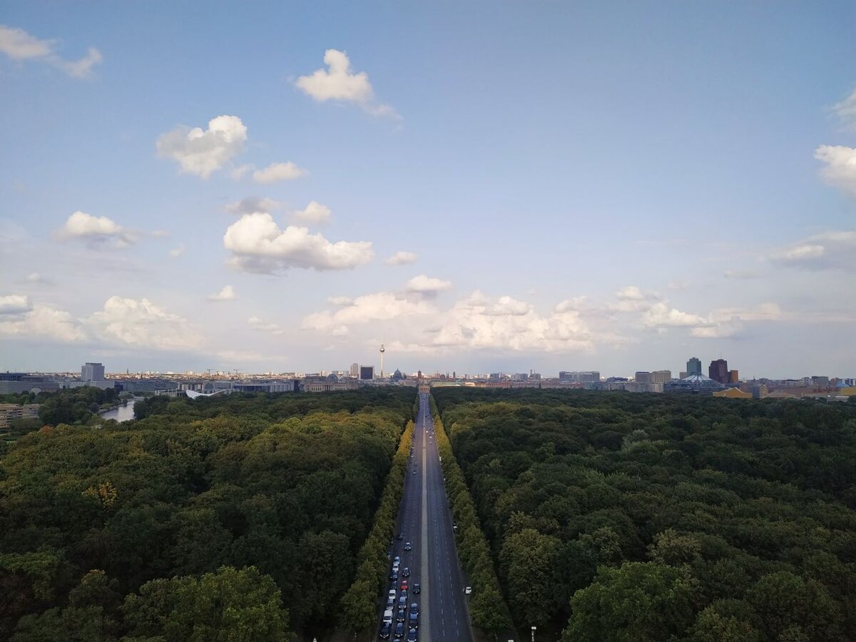 Какой же огромный Tiergarten