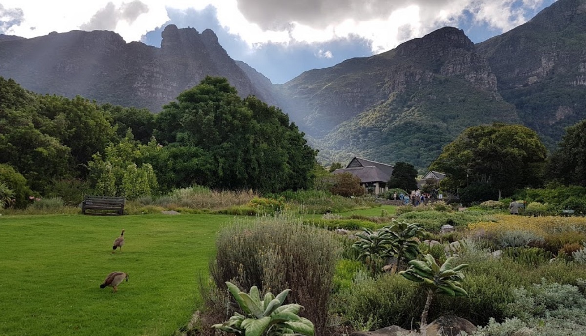 Kirstenbosch National Botanical Garden