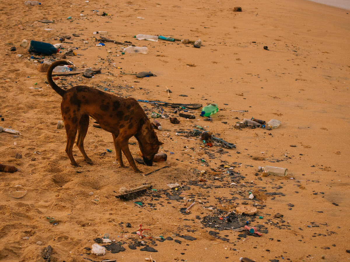 пляж в Тринкомале