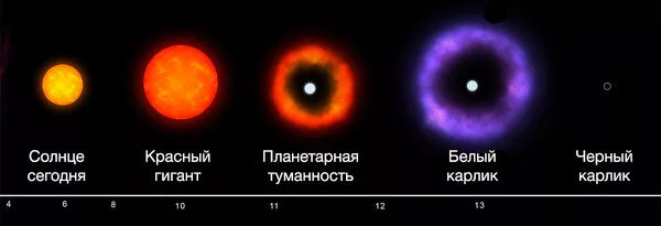 Фазы жизненного цикла Солнца.