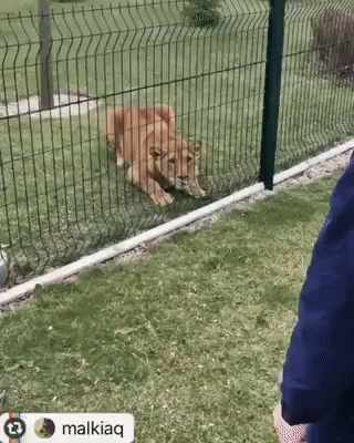 Источник: gifer.com