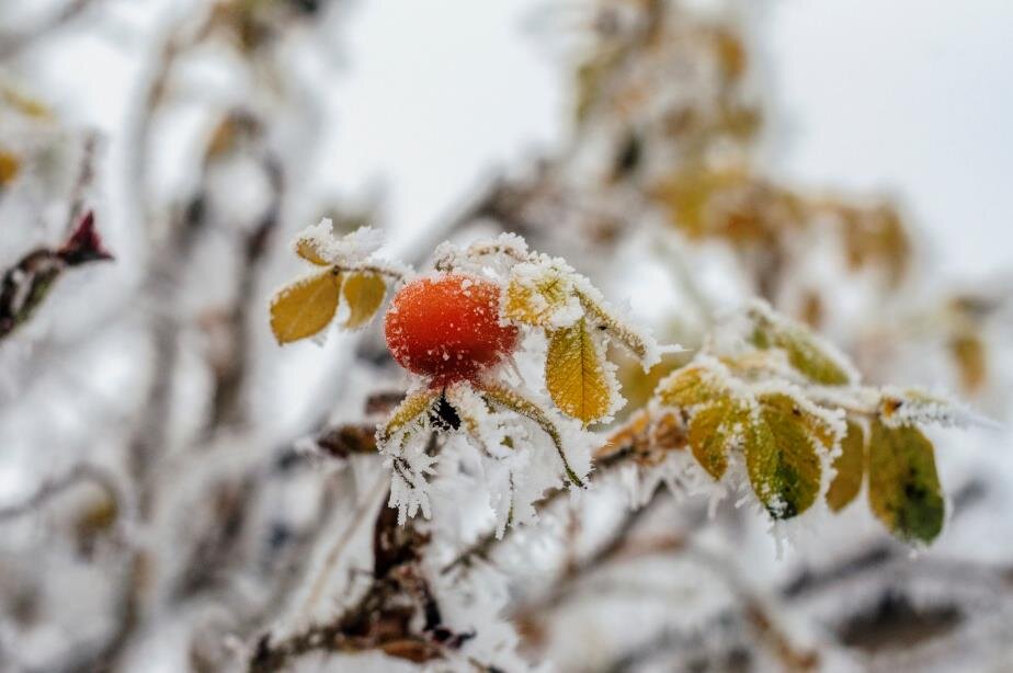 Фото – photocentra.ru