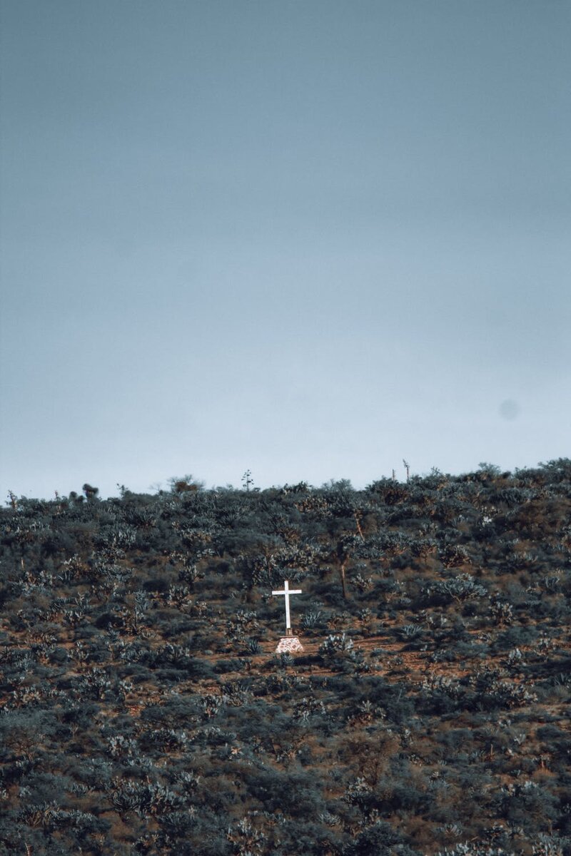 Фото автора Juanjo Menta : Pexels 