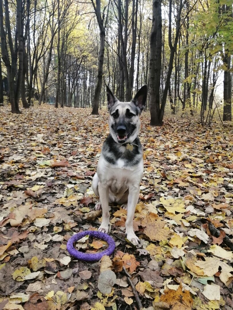 Моя Киракосина.