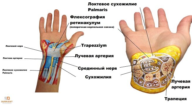 Повреждения нервов верхних и нижних конечностей (периферических нервов) | Москва