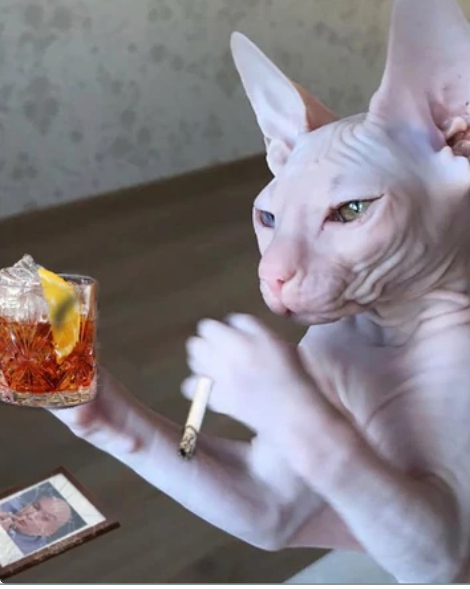 Когда говорят, что я крикливый и не понимают меня (