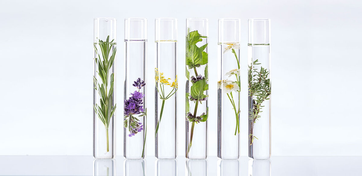 Всё самое полезное для Вашей кожи