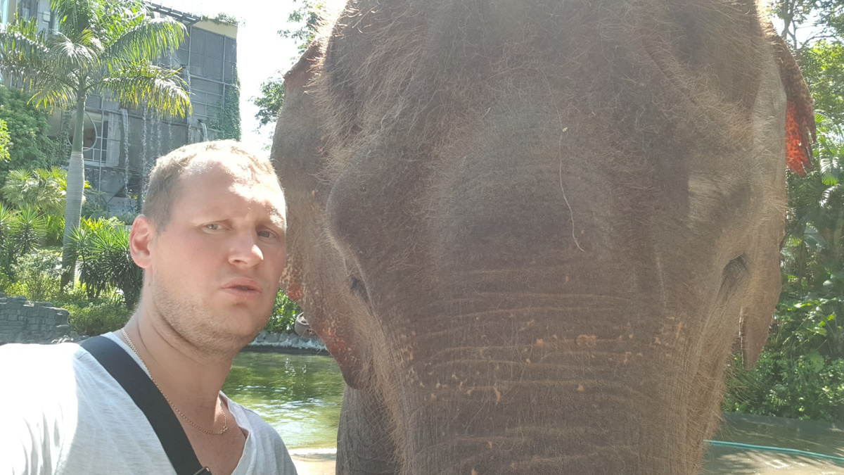 Вот такой вот слоник