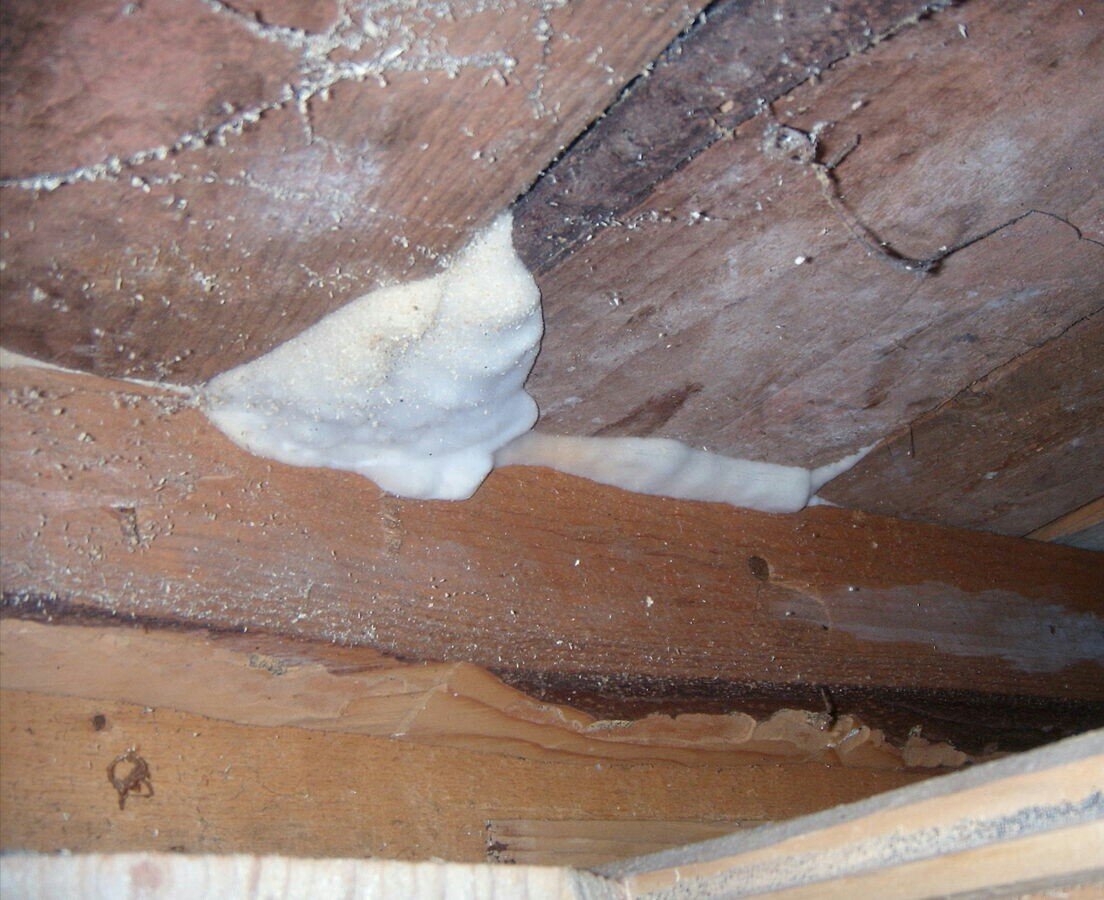 фото взято из яндекс.картинки 