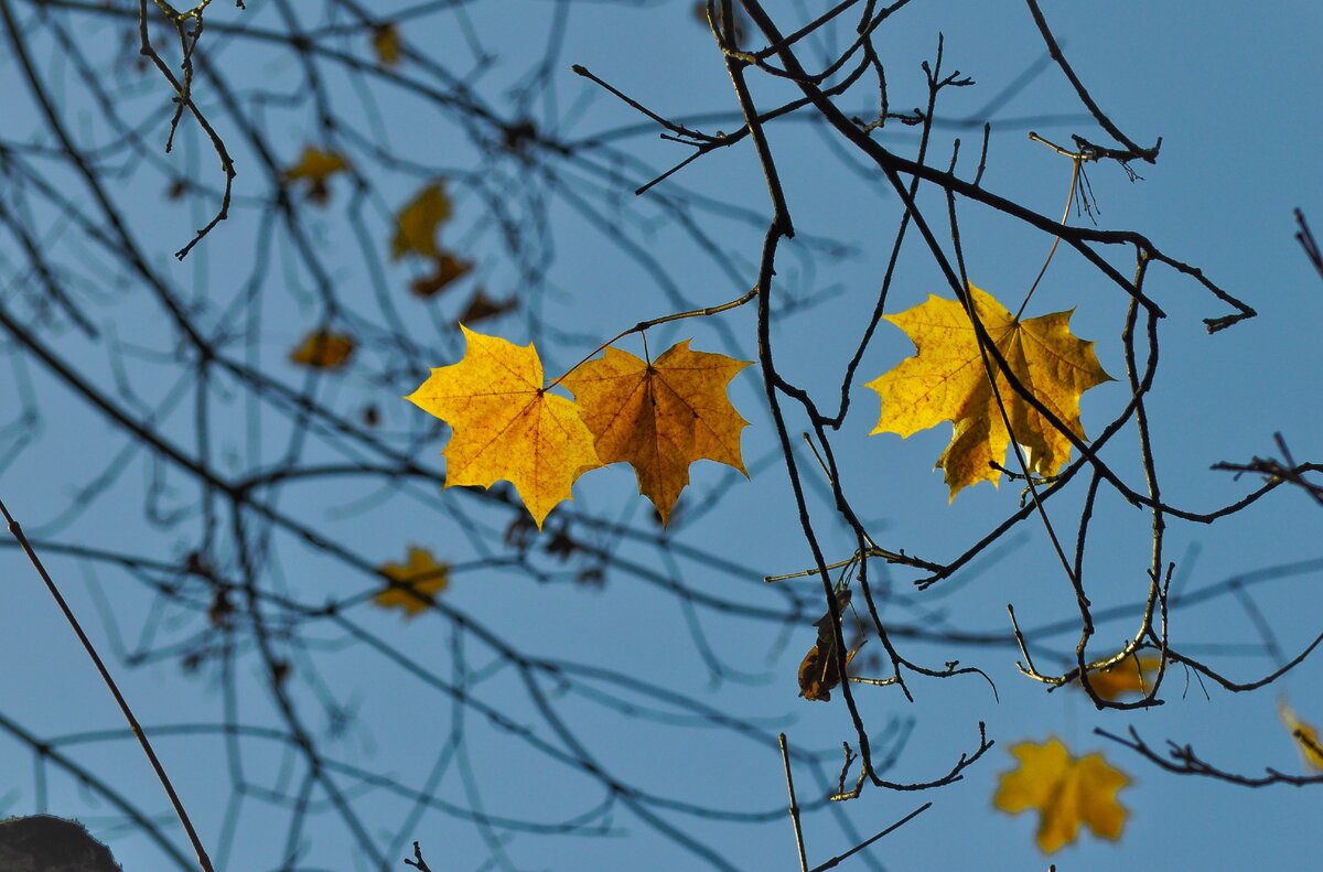 Thanks to @lukaszlada for making this photo available freely on @unsplash 