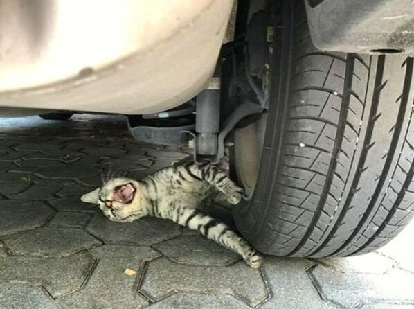 -2