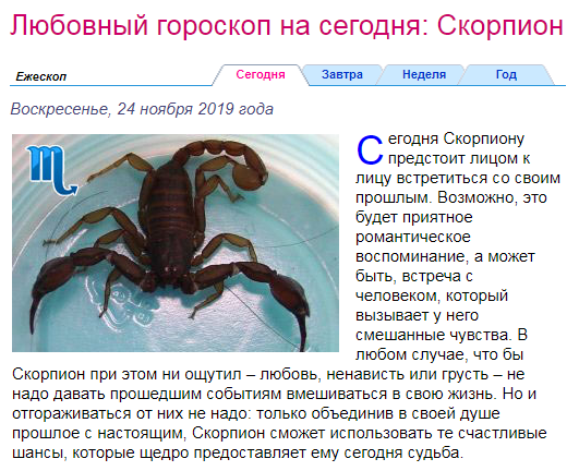 Ноябрь и скорпион. Гороскоп "Скорпион". Год скорпиона. Скорпион по зодиаку.