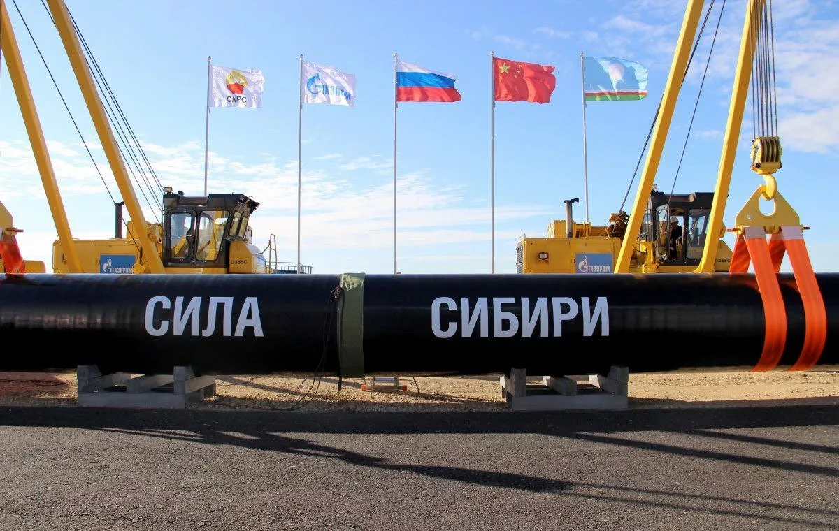 Изображение находится в свободном доступе в сети Интернет. Информация об авторских правах не обнаружена.