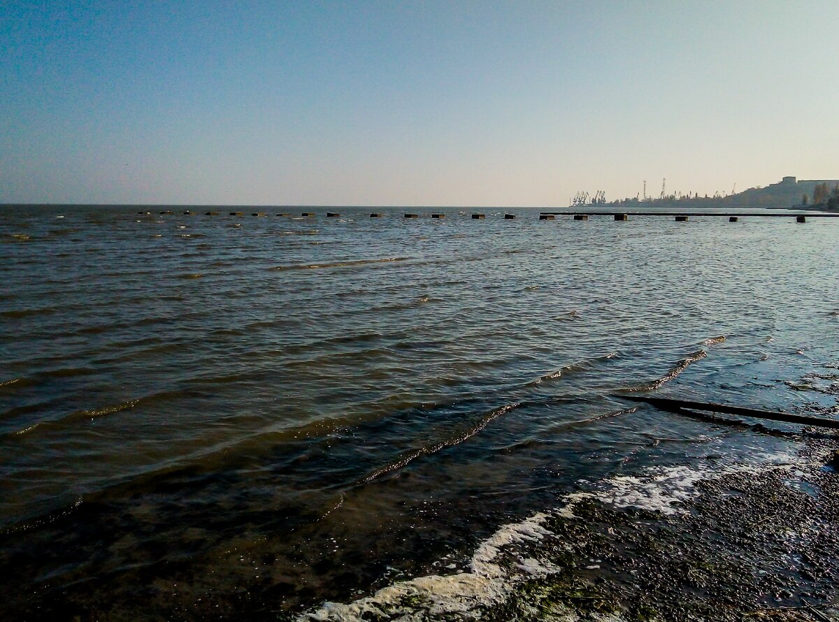 Вода в азовском море в таганроге