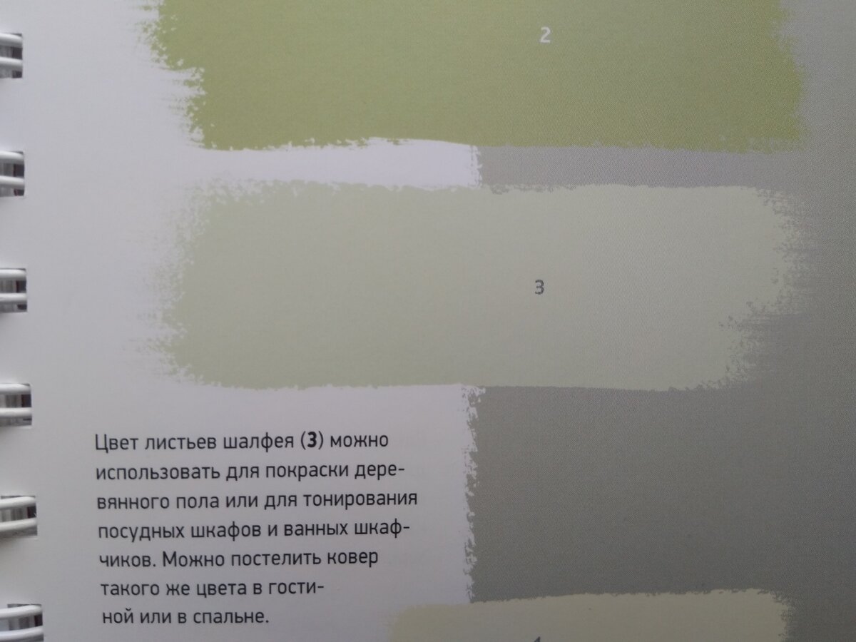 Анна Стармер в своей энциклопедии цвета, представляет себе цвет листьев шалфея под номером 3