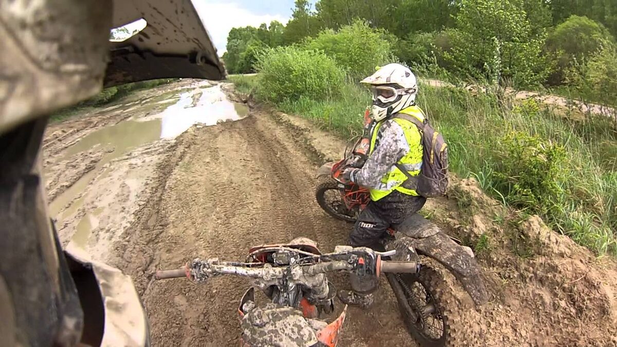 с Яндекс картинки