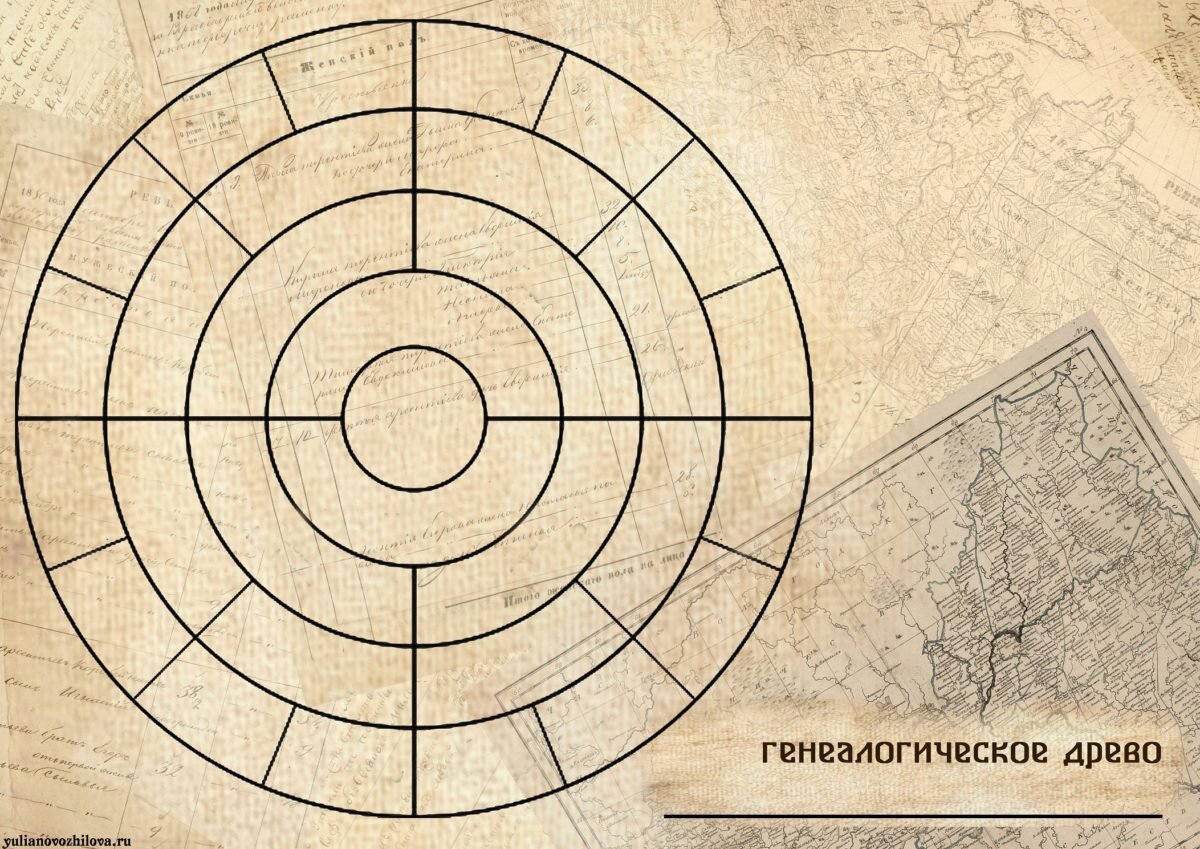  Круговое генеалогическое древо для самостоятельного заполнения

