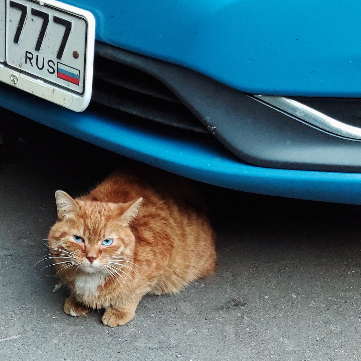 источник - мой Инстаграм. instagram.com/p/B5sYVSIHMMr