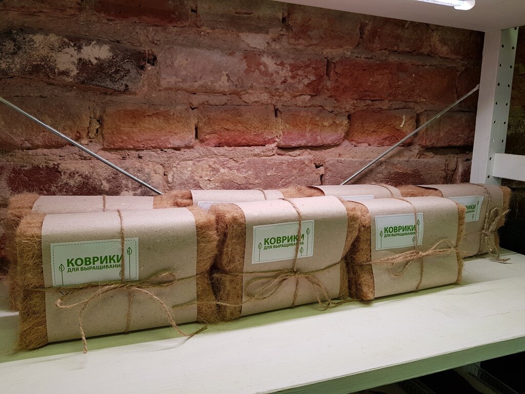 
Чего стоит избегать при выращивании микрозелени?