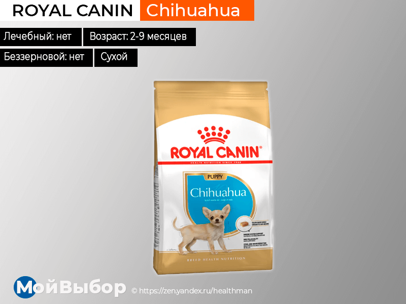 хороший корм для чихуахуа сухой. роял канин для чихуахуа от 8. корм роял канин для чихуахуа. лучший корм для чихуа. роял канин чихуахуа adult.