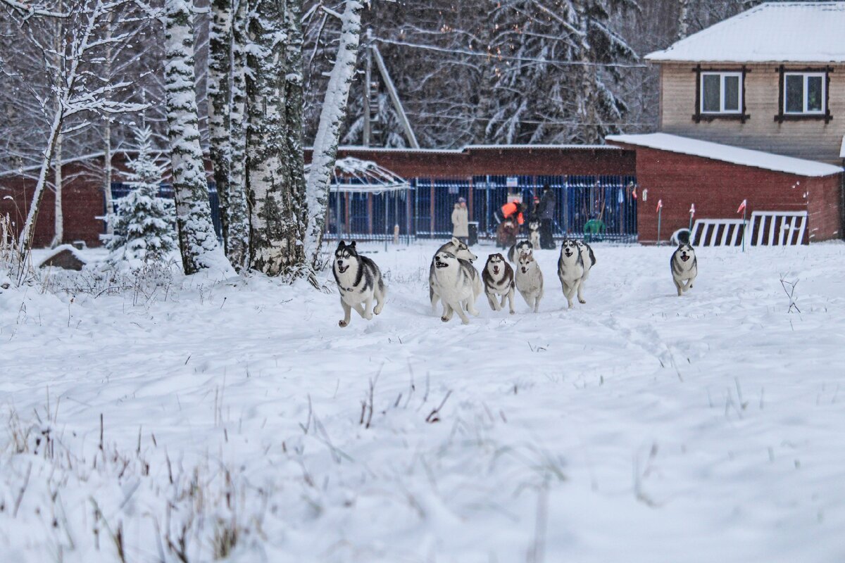 Примерно так мы идём гулять