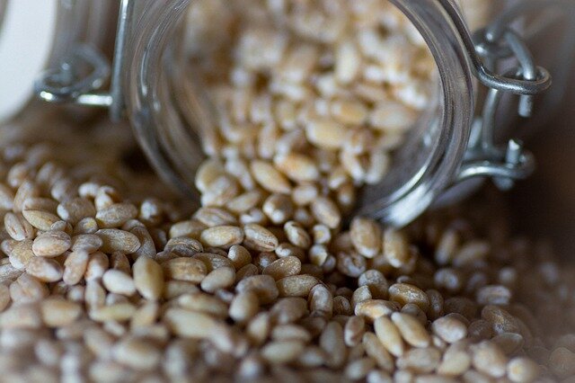 Как перловка действует на организм?