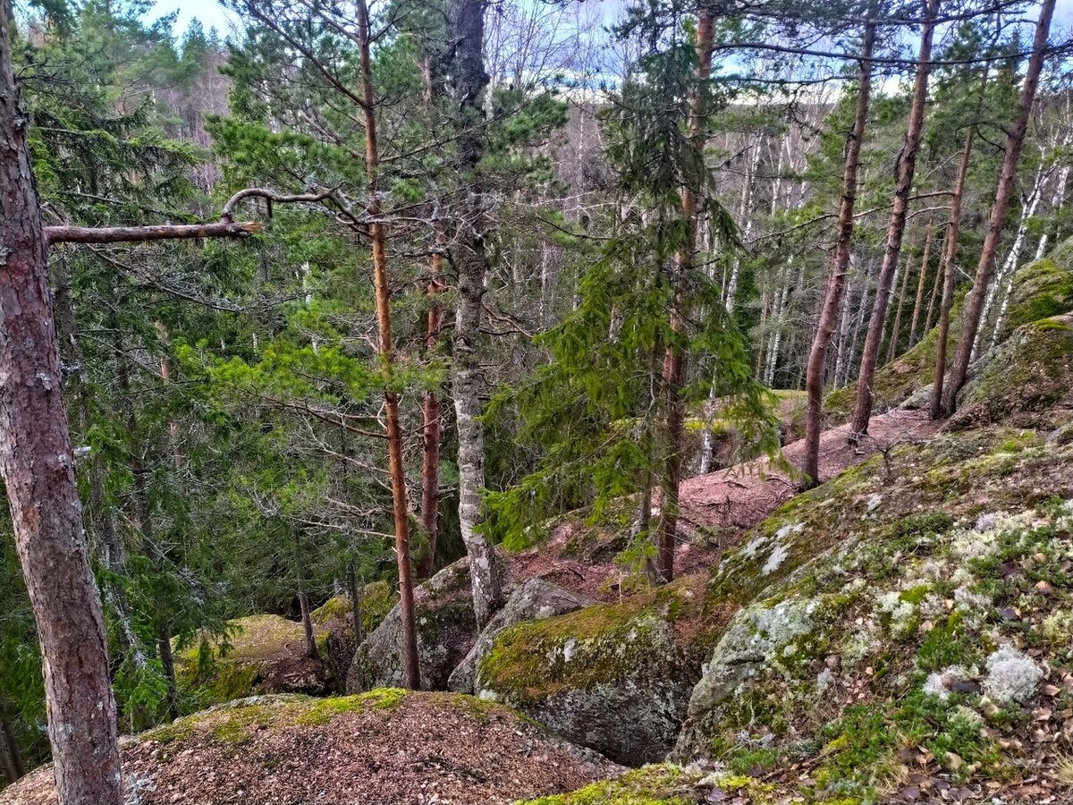 Комарова город Карельские скалы