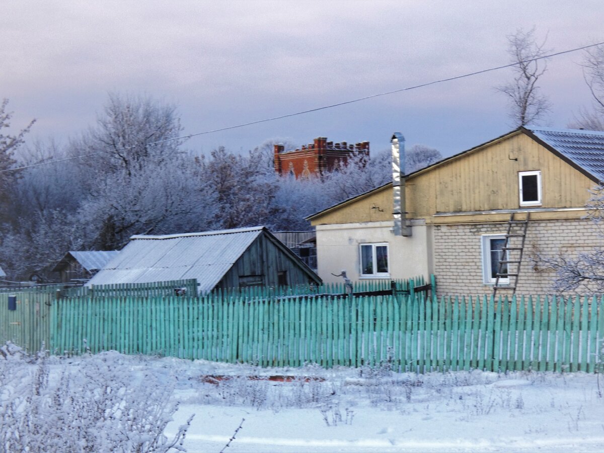 село новоберезово рязанской области сасовского района фото