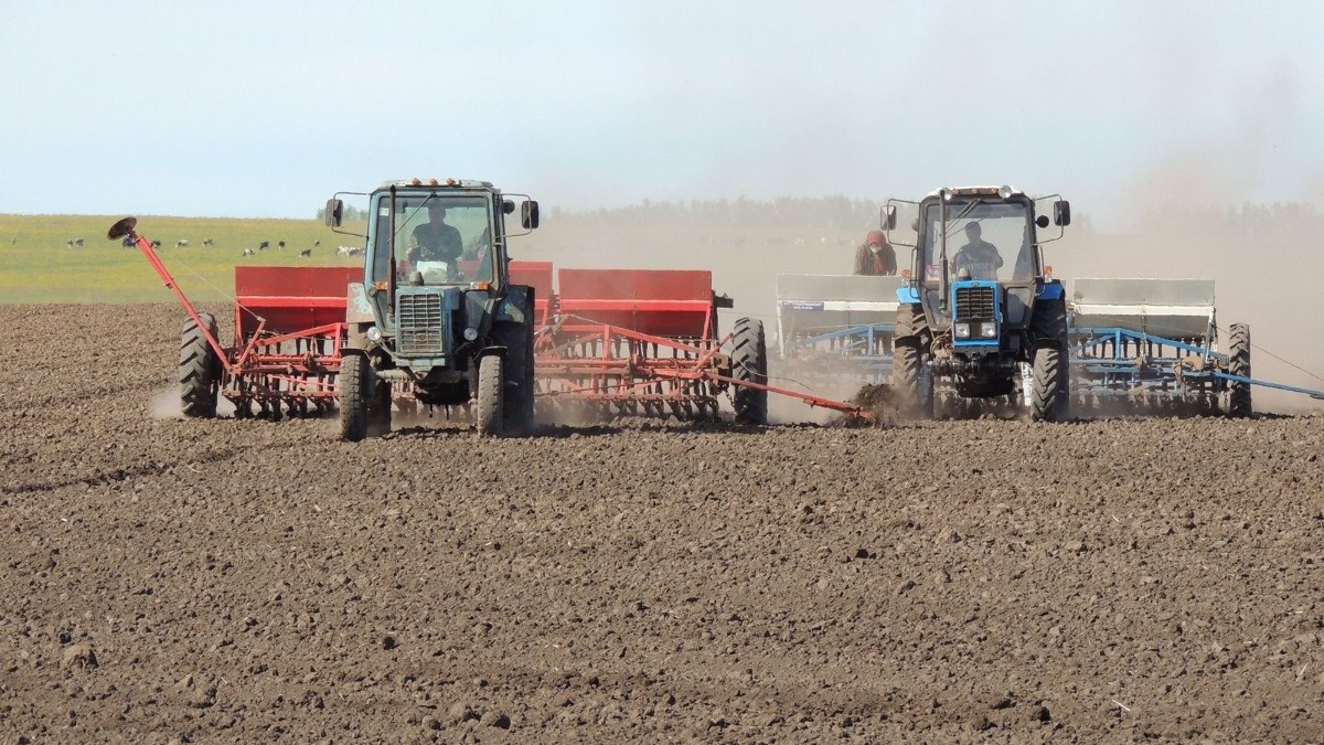 Фото носит иллюстративный характер