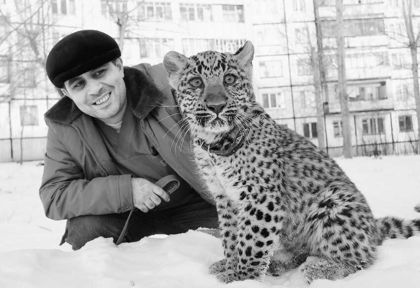 Миракян авет владимирович. Даллакян каро владимирович. Даллакян челябинск. Музыкант ю даллакян letres 2. Миракян авет владимирович.